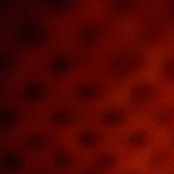 Meet your Posher, Addys - Picture 1 of 1